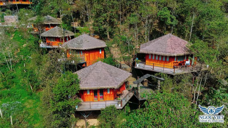 treehouse-sapa