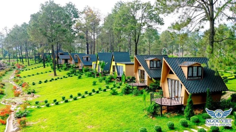cabin-moc-chau-voi-doi-che-xanh-muot-va-khi-hau-mat-me